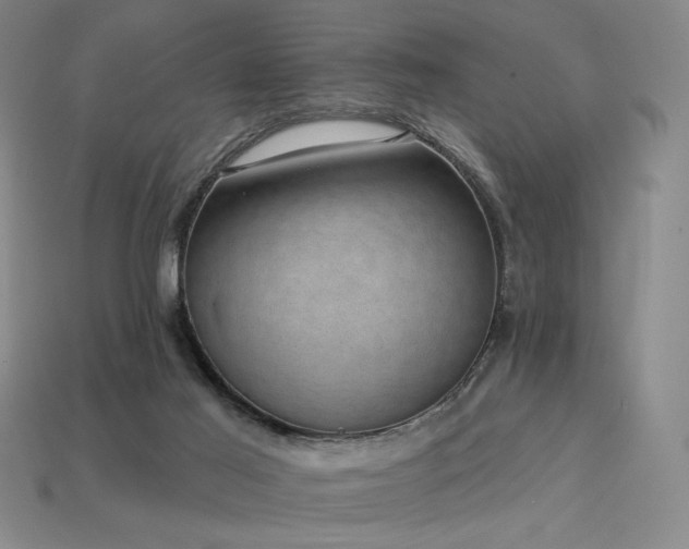 X0000113940021200909251250