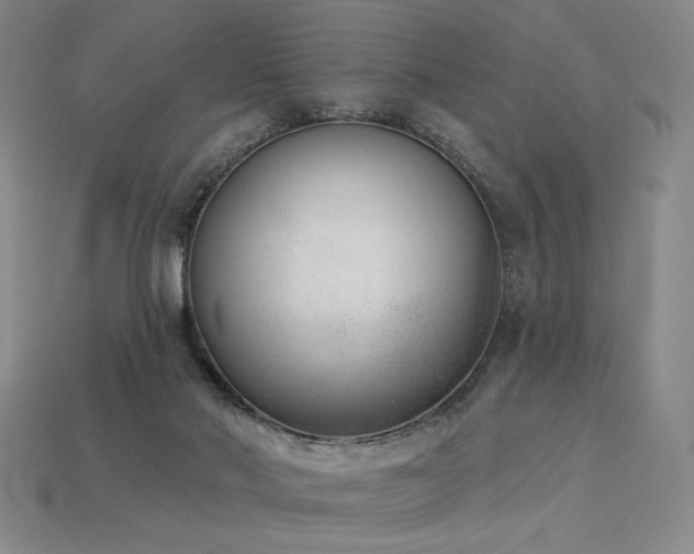 X0000113940022200909251250