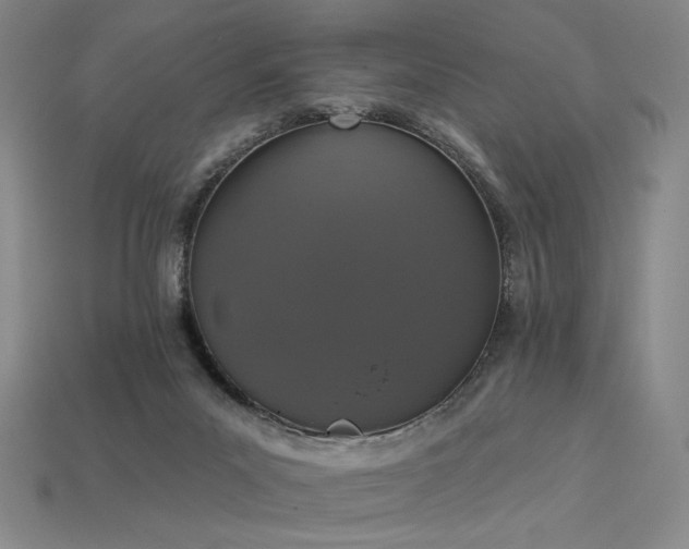 X0000113940023200909251250