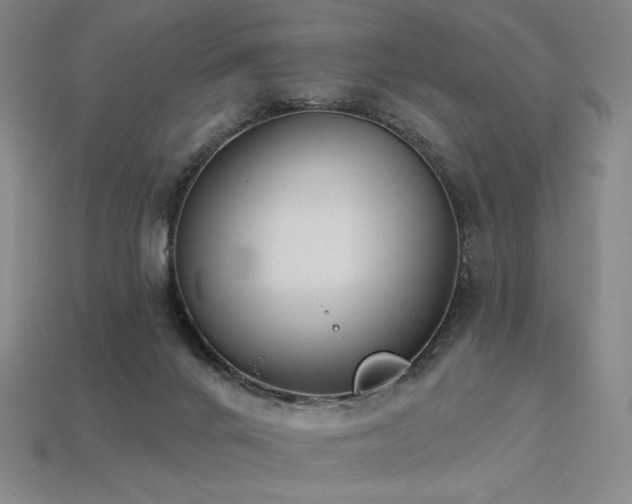 X0000113940024200909251250