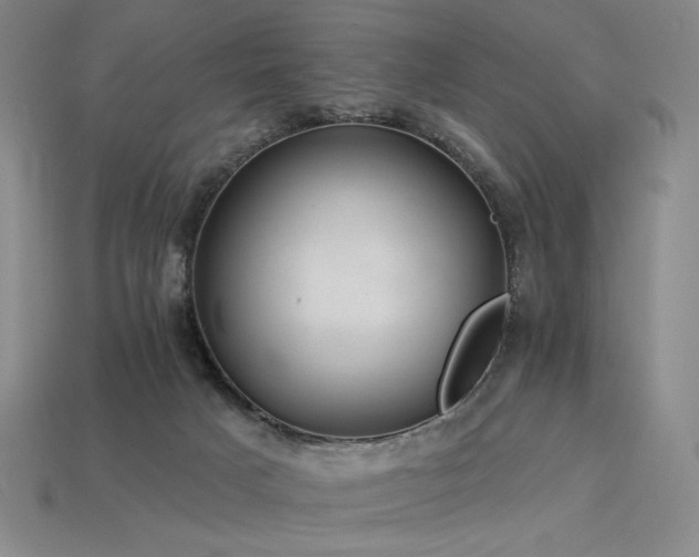 X0000113940025200909251250