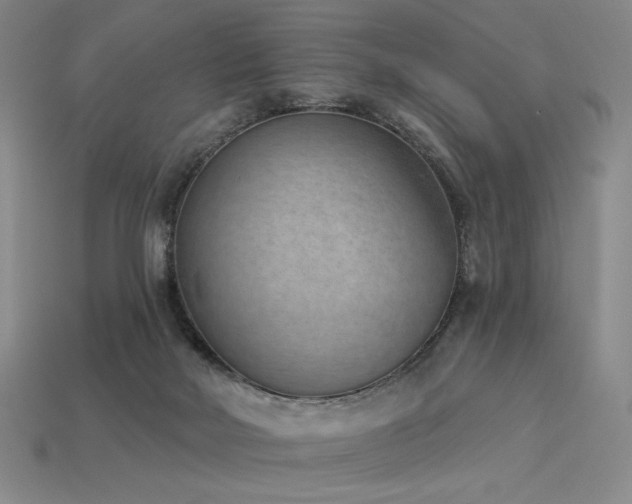 X0000113940026200909251250