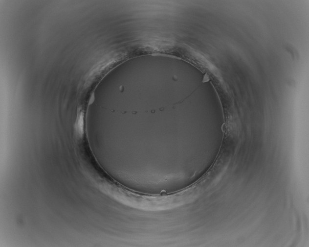 X0000113940027200909251250