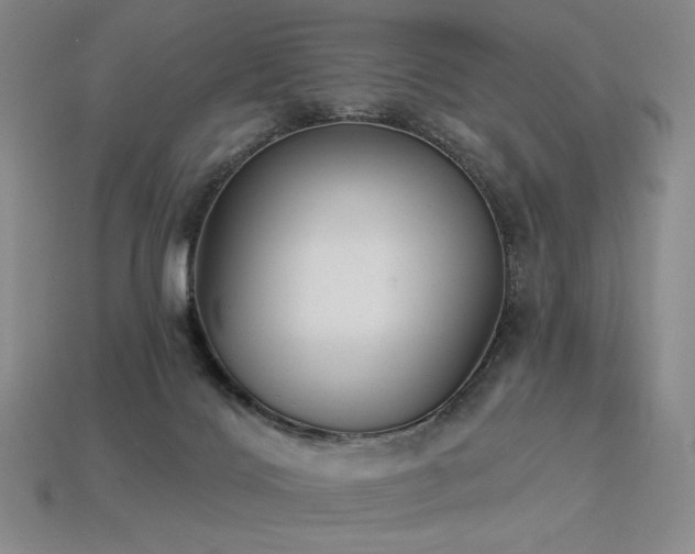 X0000113940028200909251249