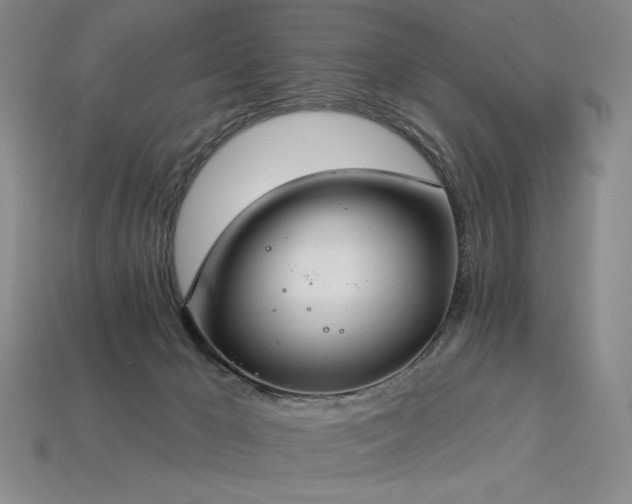 X0000113940029200909251249