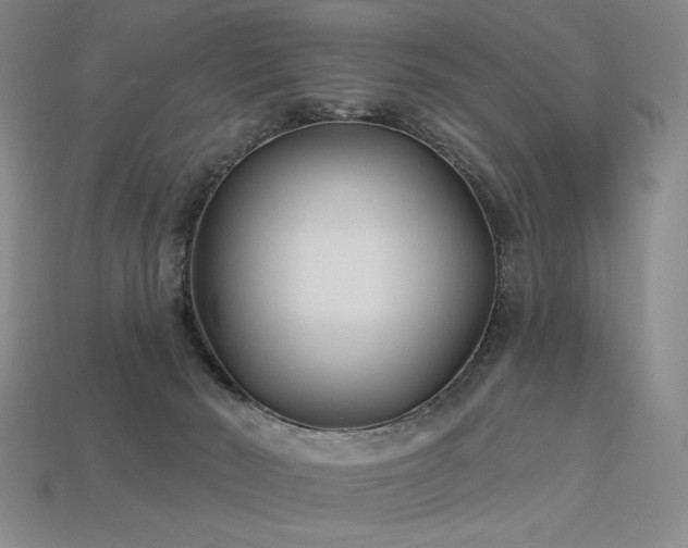 X0000113940030200909251249