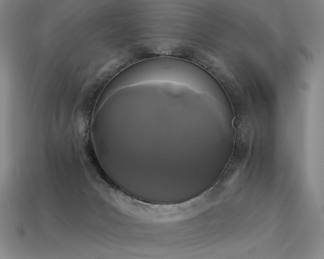 X0000113940031200909251249