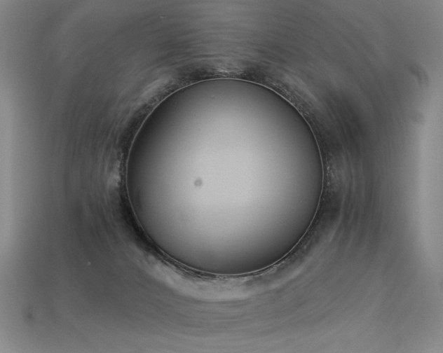 X0000113940032200909251249