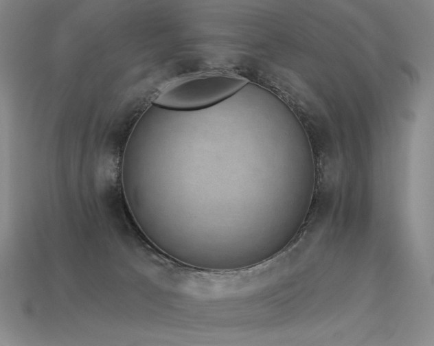 X0000113940033200909251249