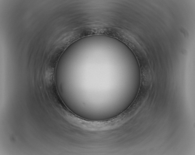 X0000113940034200909251249