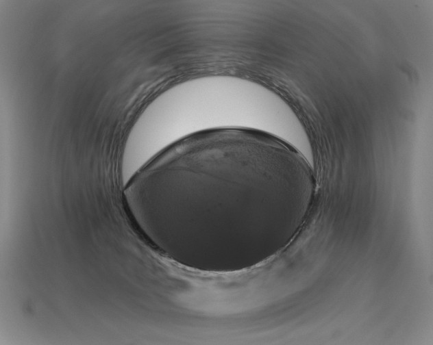 X0000113940035200909251249