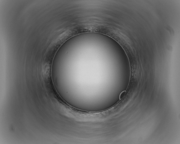 X0000113940036200909251249