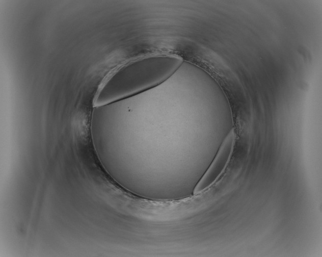 X0000113940037200909251249