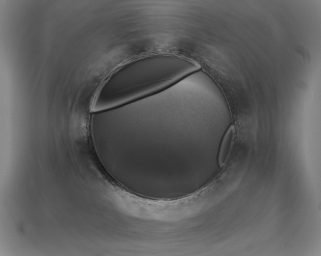 X0000113940039200909251249