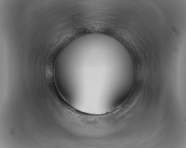 X0000113940040200909251249