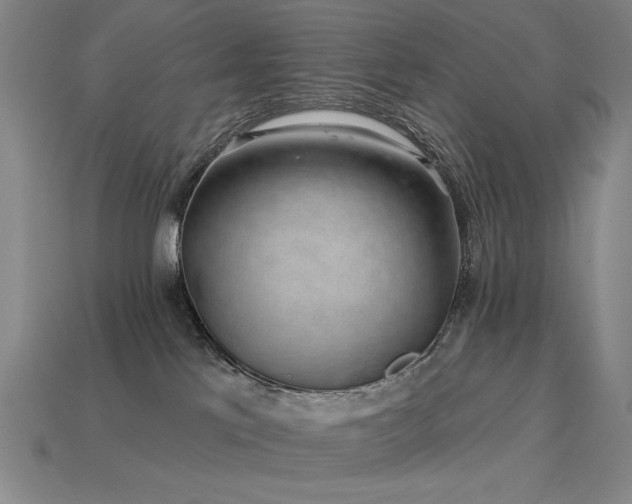 X0000113940041200909251249