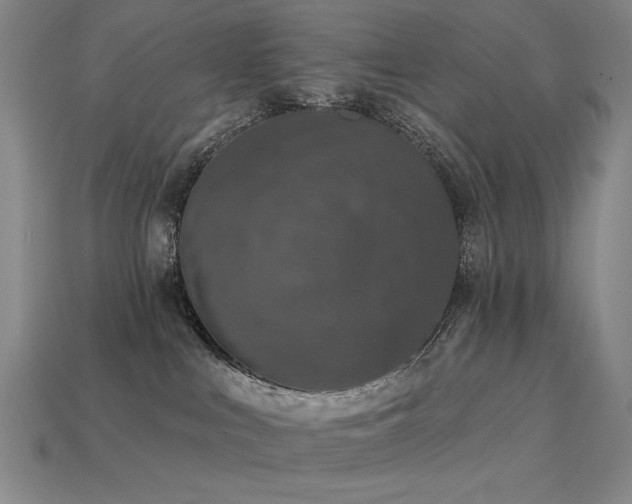 X0000113940043200909251249