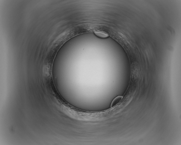 X0000113940044200909251249