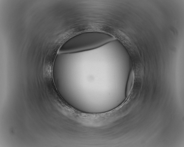 X0000113940045200909251249