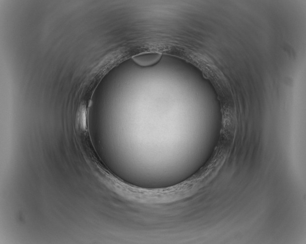 X0000113940046200909251249