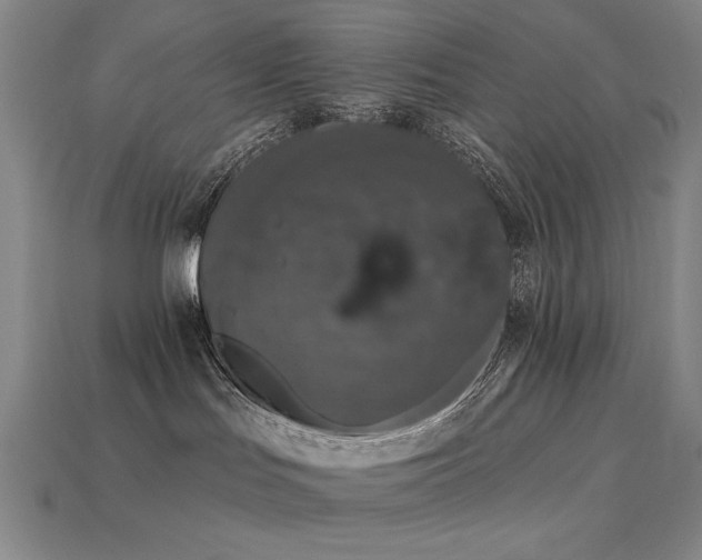 X0000113940047200909251249