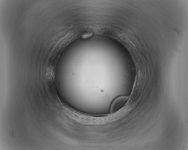 X0000113940048200909251249