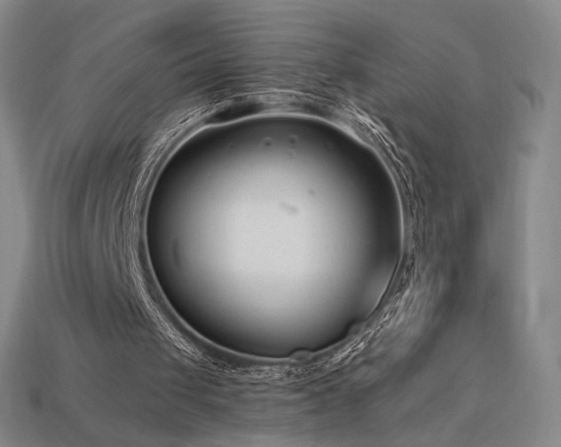 X0000113940049200909251249