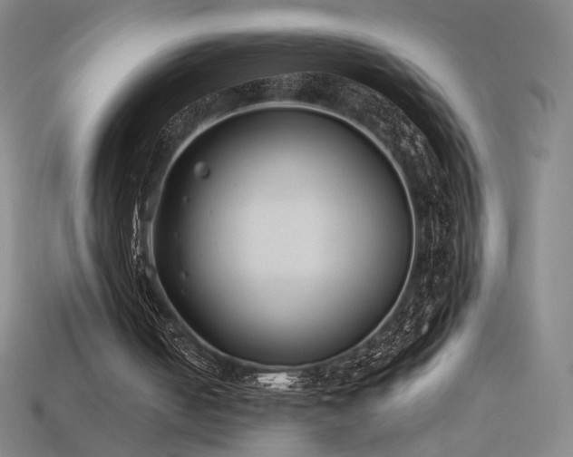 X0000113940050200909251249