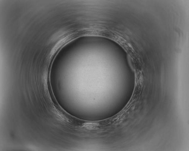 X0000113940051200909251249