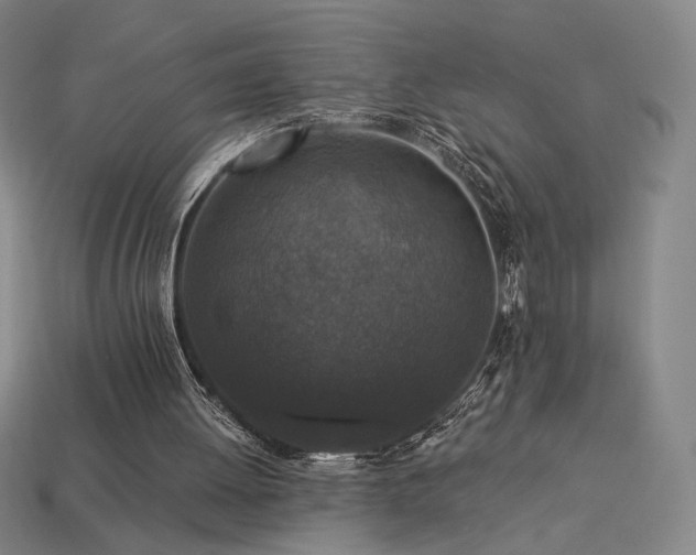 X0000113940052200909251249