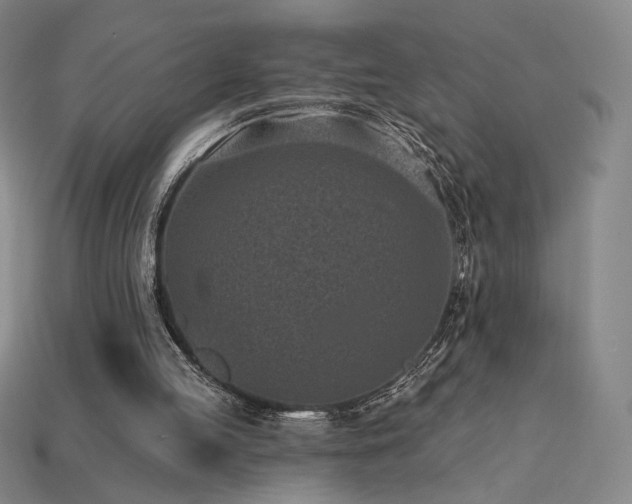 X0000113940053200909251249