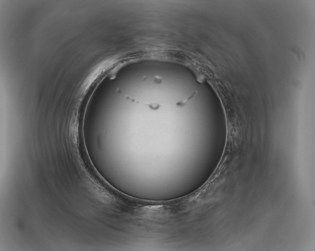 X0000113940054200909251249