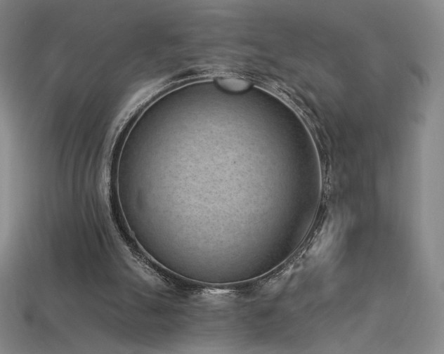 X0000113940055200909251249