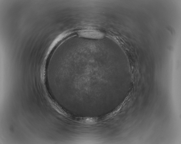 X0000113940056200909251249