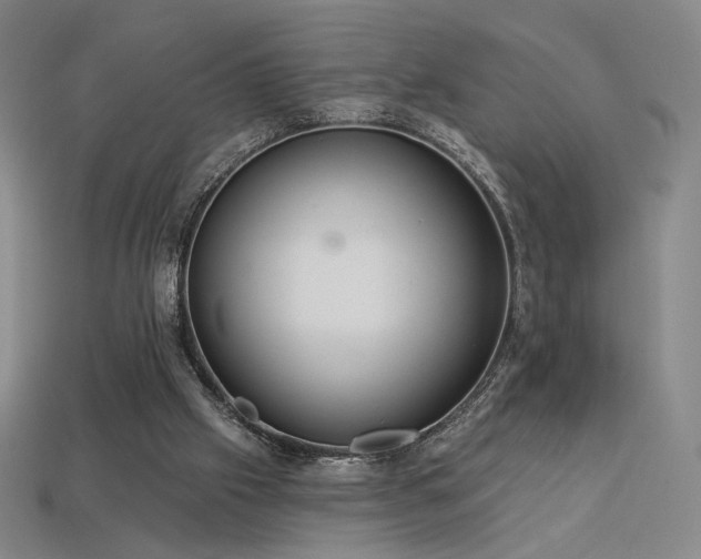 X0000113940057200909251249