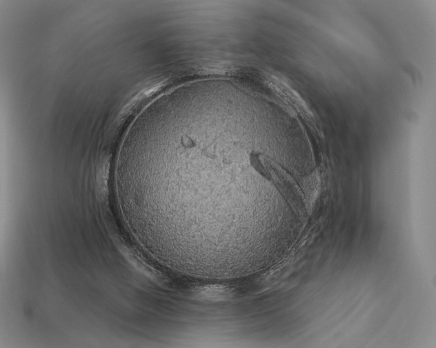 X0000113940058200909251249