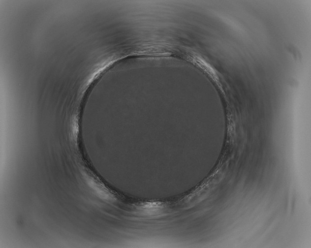 X0000113940059200909251249