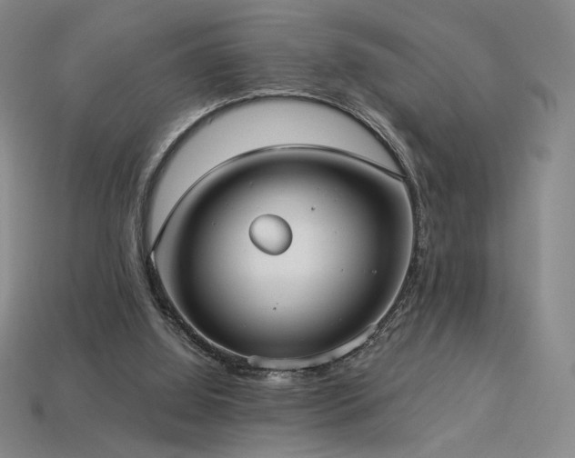 X0000113940060200909251249