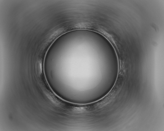 X0000113940061200909251249