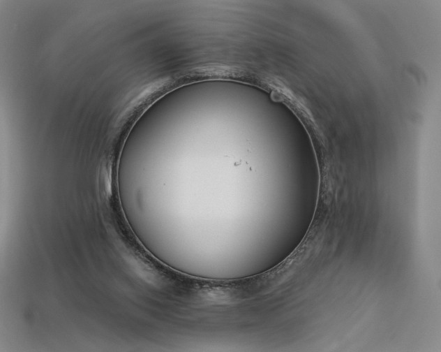 X0000113940062200909251249