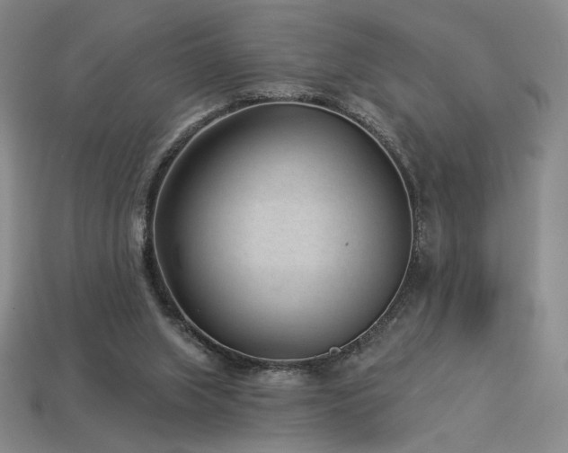 X0000113940063200909251249