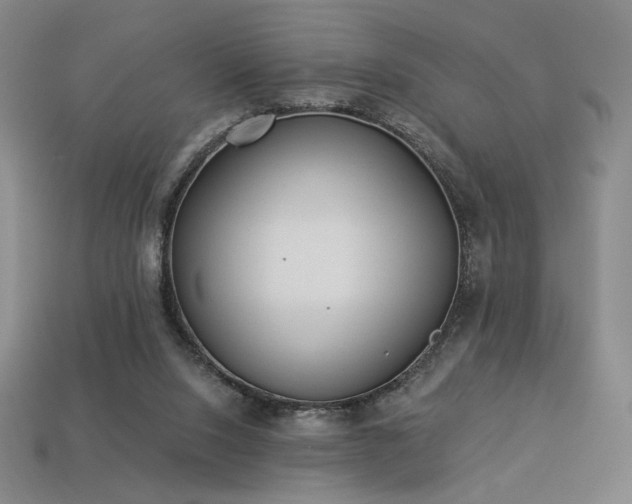 X0000113940064200909251249