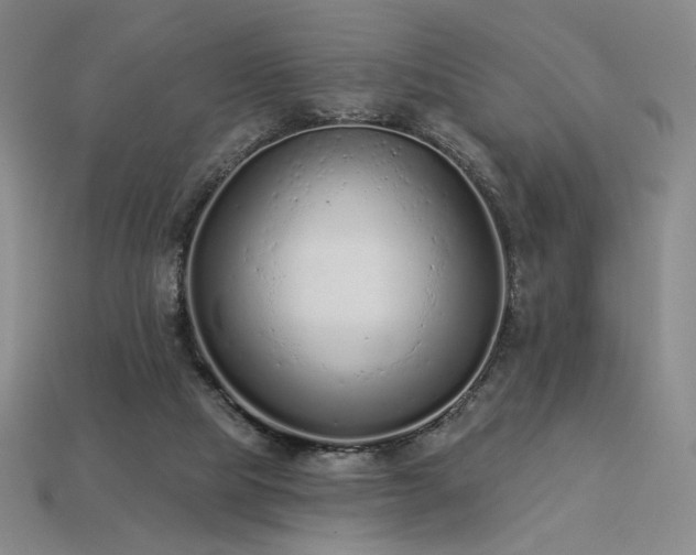 X0000113940065200909251249