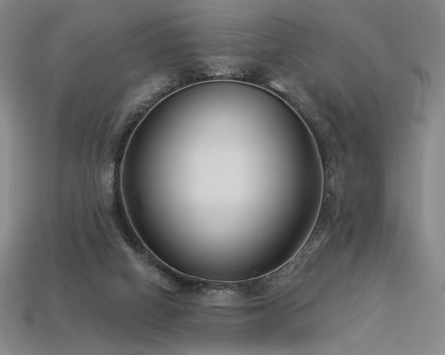 X0000113940066200909251249