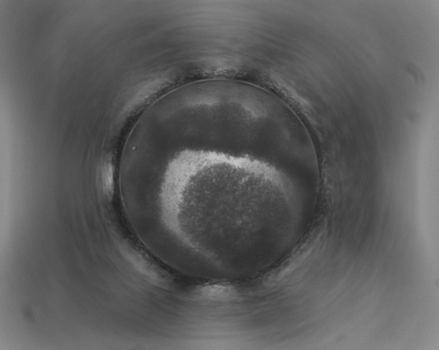 X0000113940067200909251249