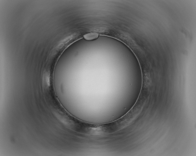 X0000113940068200909251249