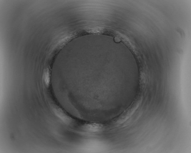 X0000113940069200909251249