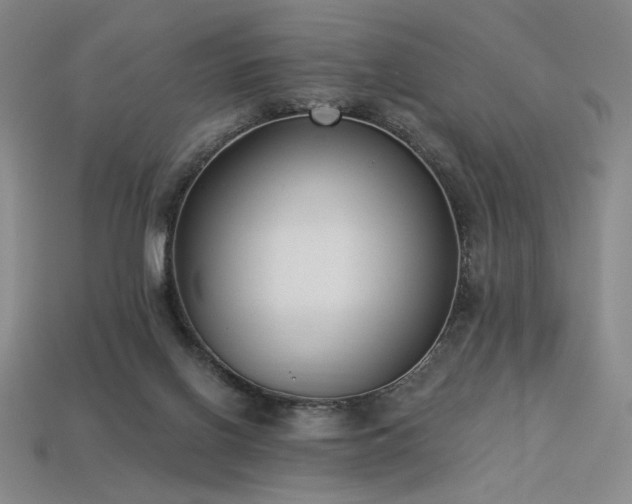 X0000113940070200909251249