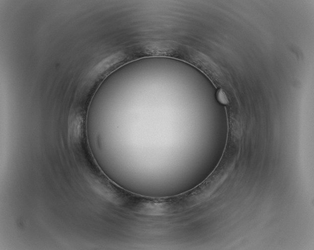 X0000113940071200909251249