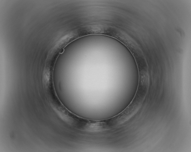 X0000113940072200909251249